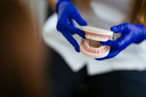 Trusted Kouts, IN Holistic Dental Care Services Experts